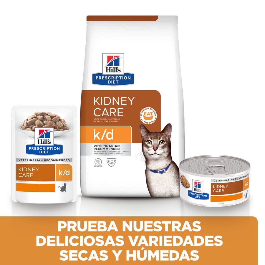 Sachê de Salmão ao Molho Hill's Prescription k/d Diet Kidney Care para Gatos