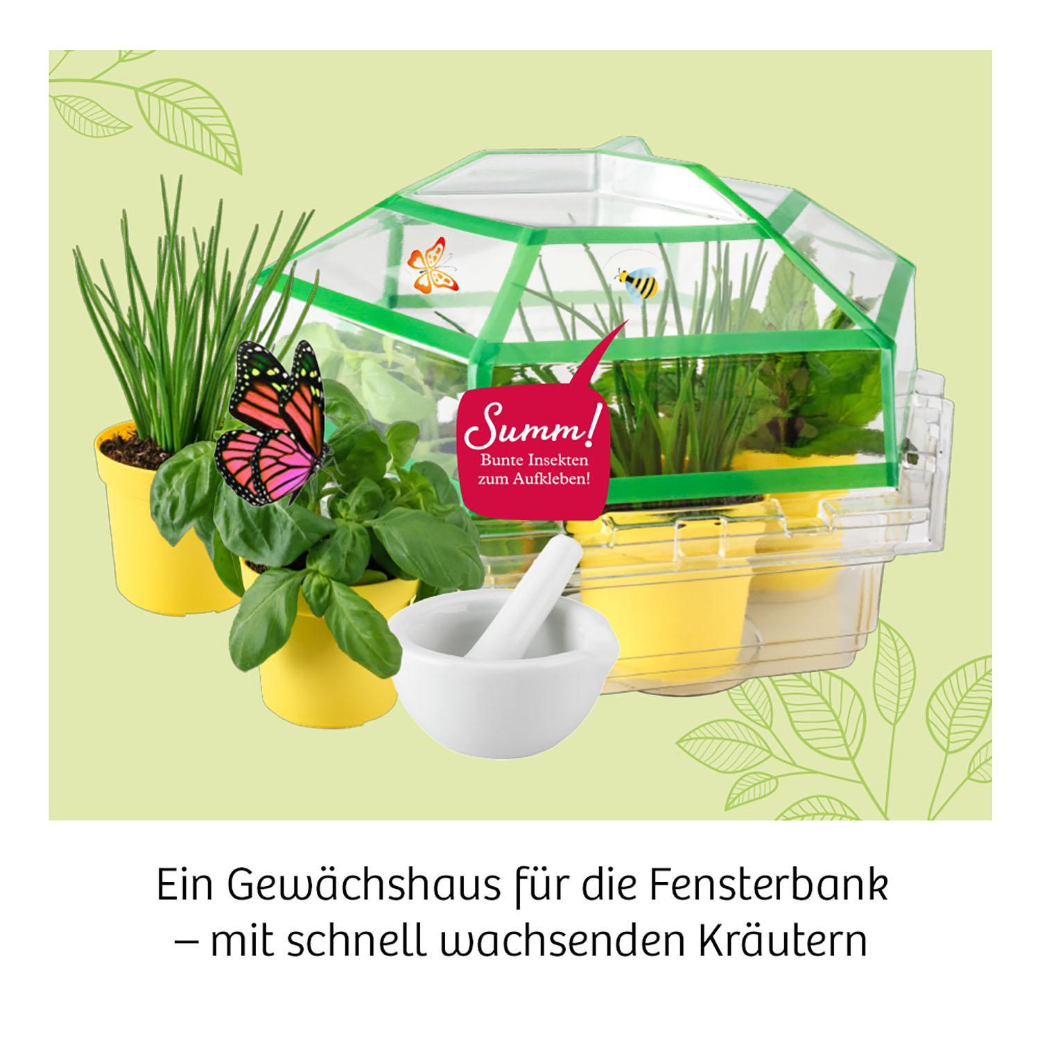 Experimentierkasten KRÄUTERGARTEN