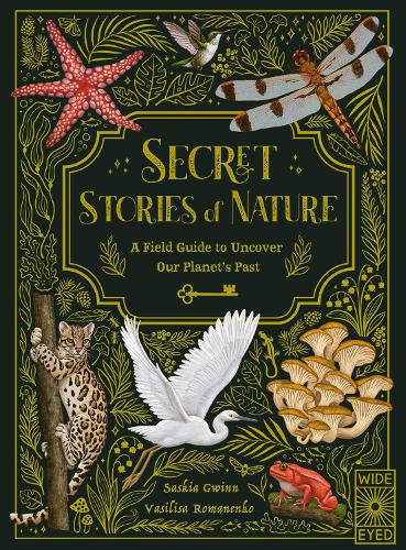 Secret Stories of Nature: A Field Guide to Uncover Our Planet's Past (Hardback)