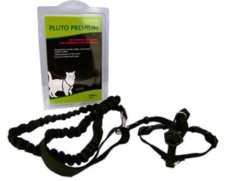 Cat harness & leash Medium