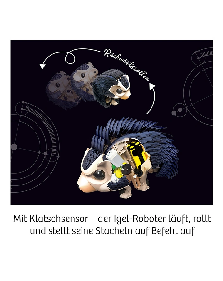 Kosmos Experimentierkasten 
