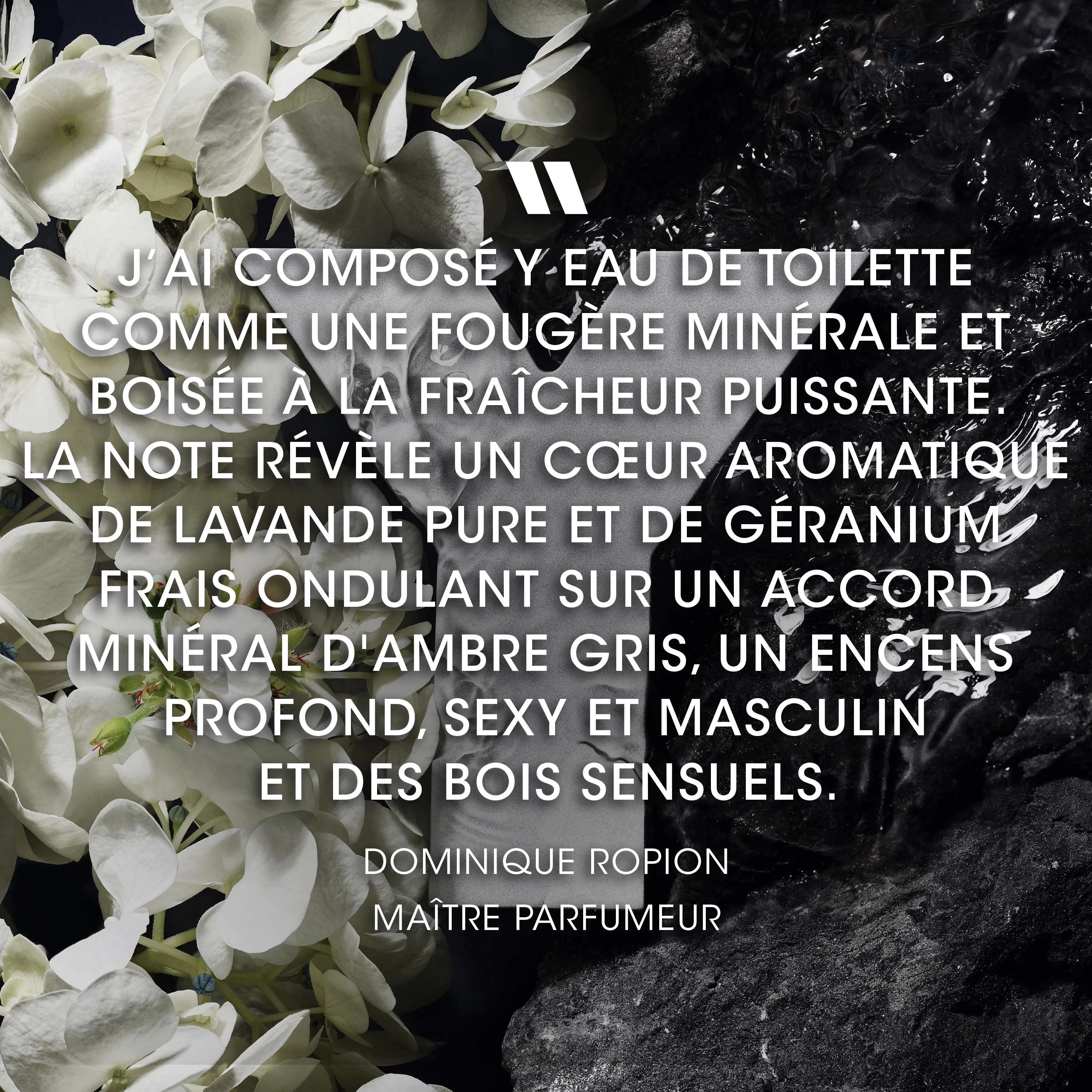 Y Eau de Toilette |