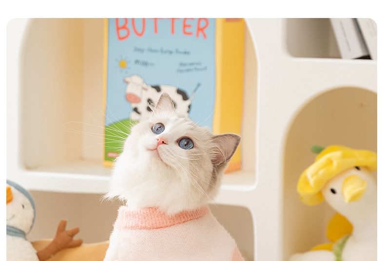 Cissilli - Letterkleurblok Pet Top