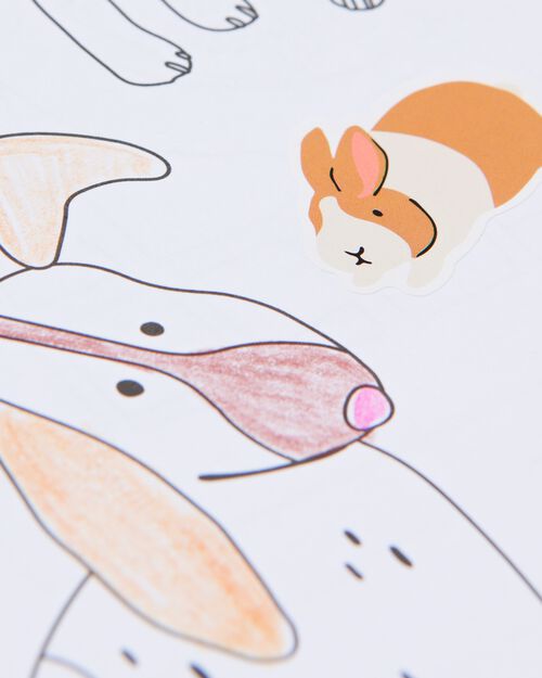 album à colorier avec autocollants animaux 3+