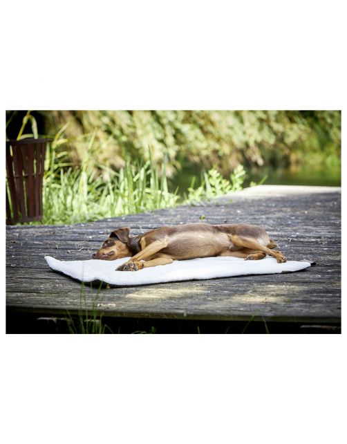 Wolters Vagabund Travel Blanket - Hondendeken - 100x70 cm Grijs