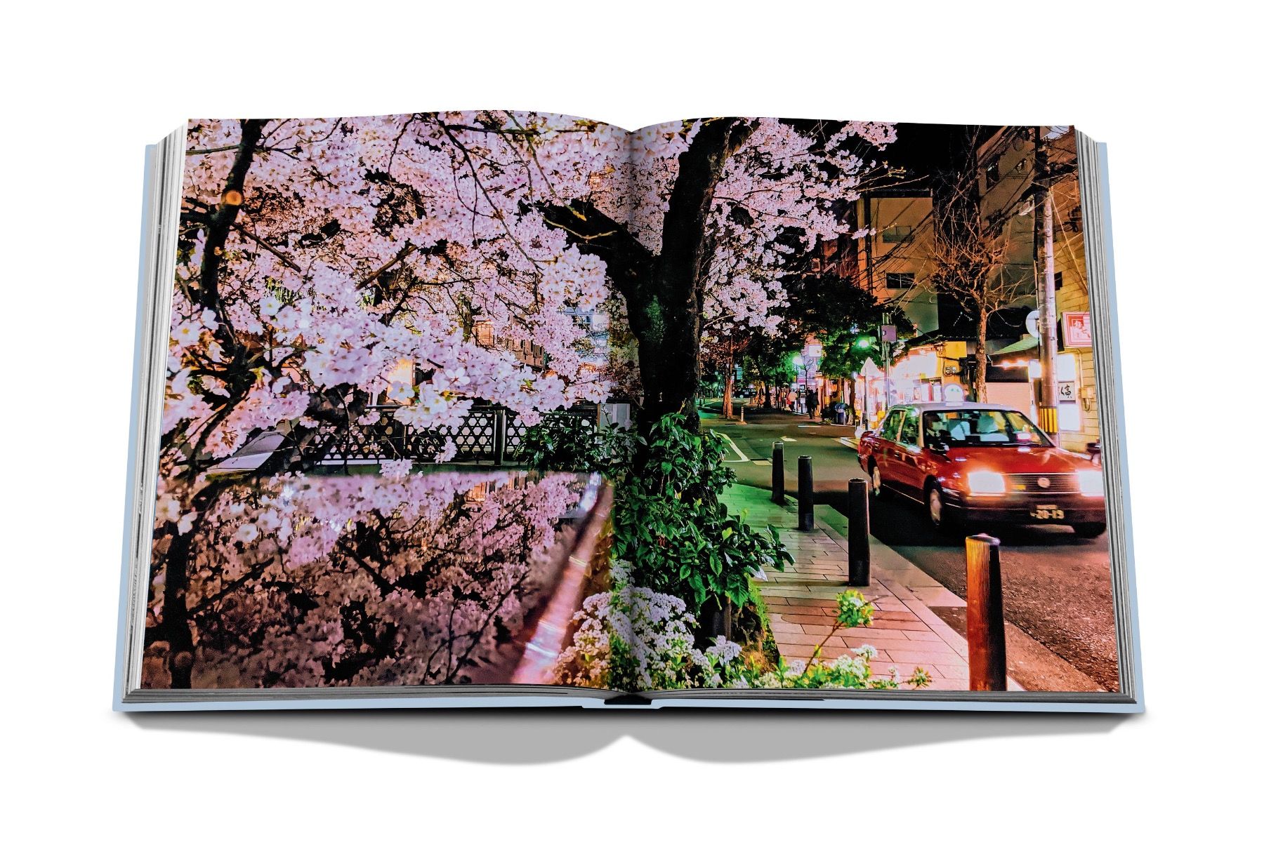 Assouline Kyoto Serenity