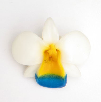 Schwimmkerze 'Orchidee', weiß, multicolor, Ø 8 cm von fischer's lagerhaus