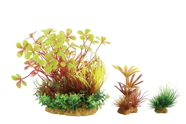 Zolux Plant decoration PlantKit Wiha model 4 (352143)
