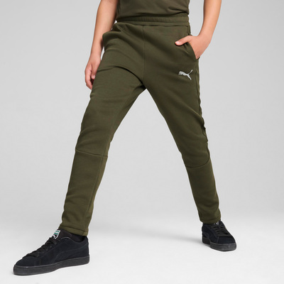 Puma Evostripe Bukser, Grønn