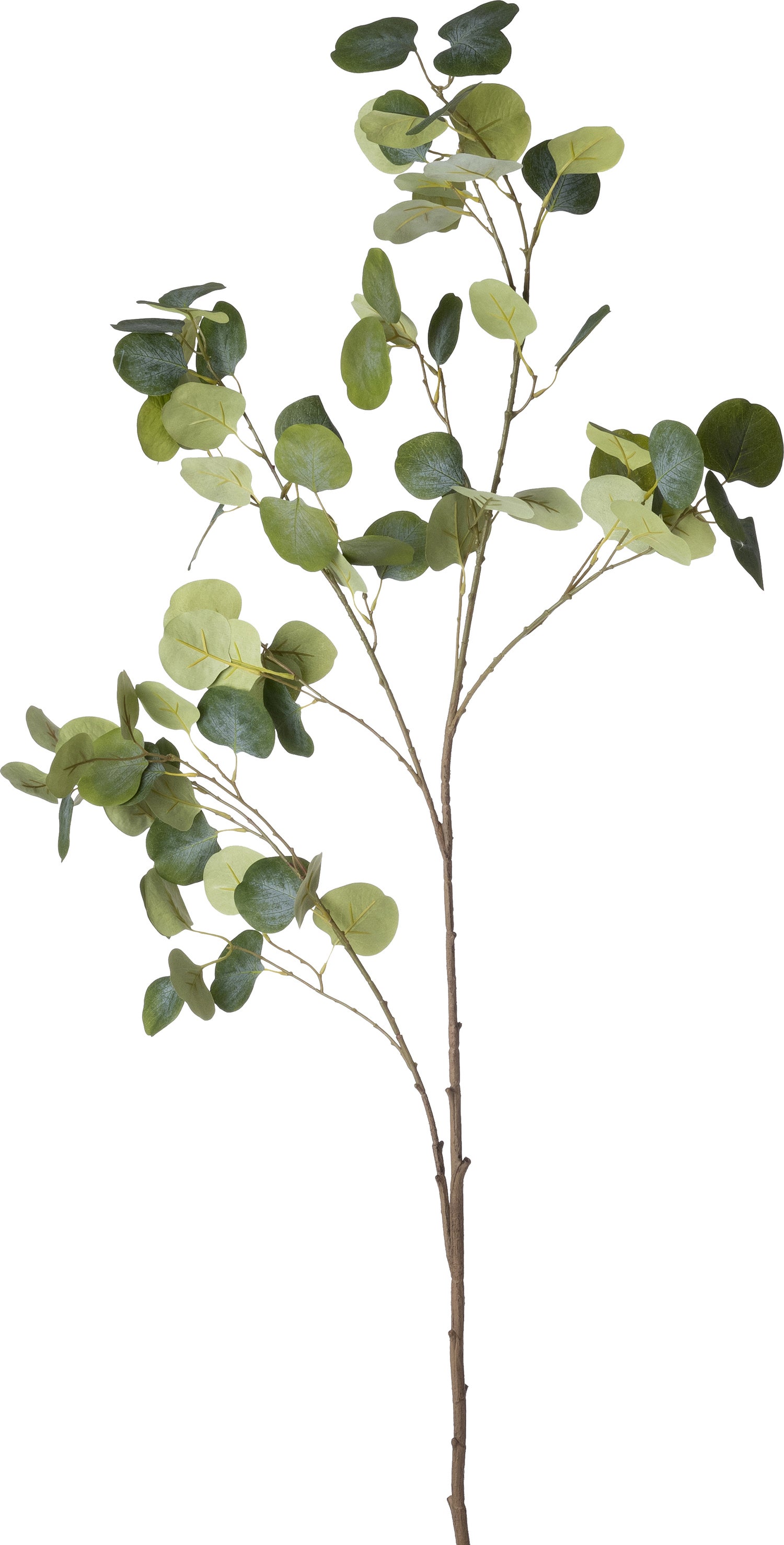 Intratuin kunsttak Eucalyptus groen 50,2 cm
