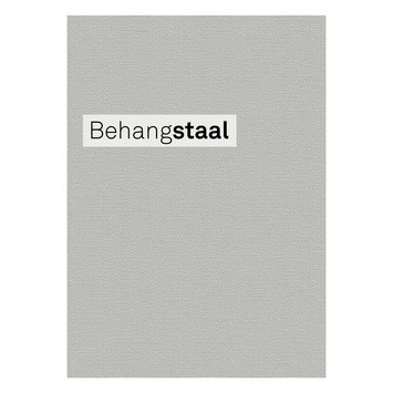 Behangstaal vliesbehang Lynn zilver grijs (dessin 103445)
