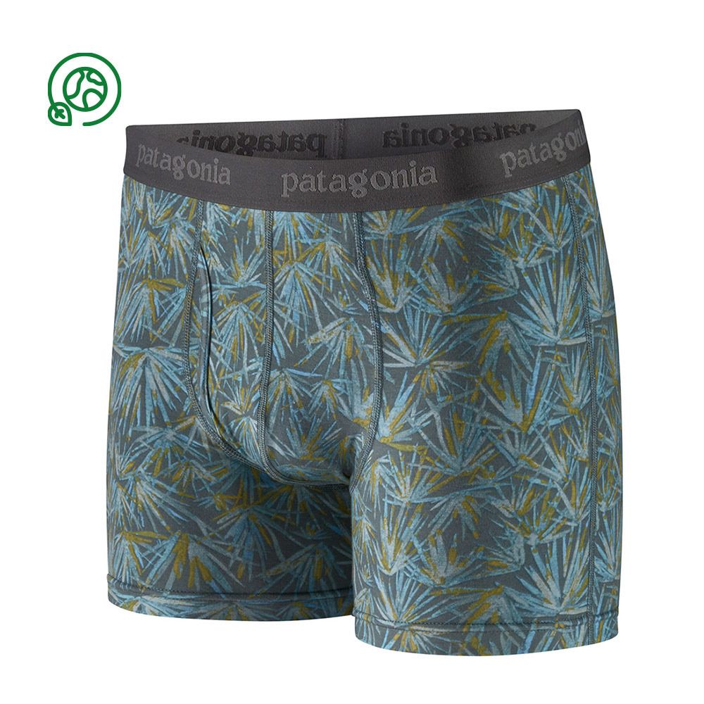 Patagonia ESSENTIAL BRIEFS - Boxer Homme grasslands/nouveau green
