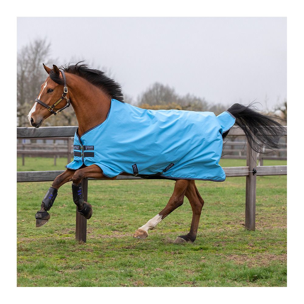Horseware HERO 900 0g - Couverture de paddock capri/gunmetal/bluebell