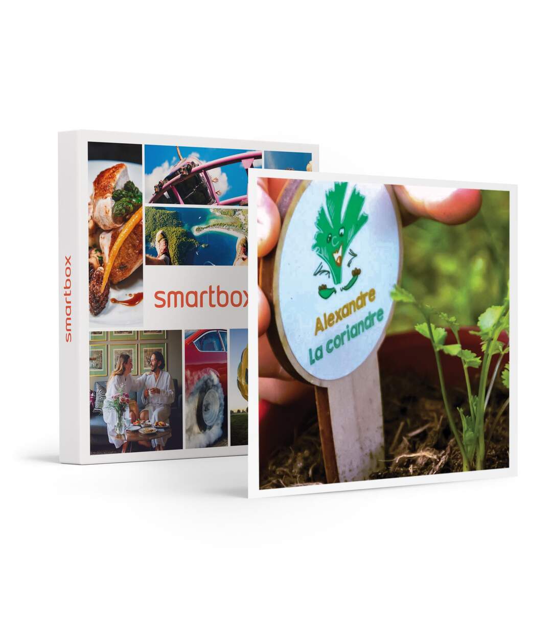 3 mois d'abonnement à une box jardinage pour enfant - SMARTBOX - Coffret Cadeau Sport & Aventure