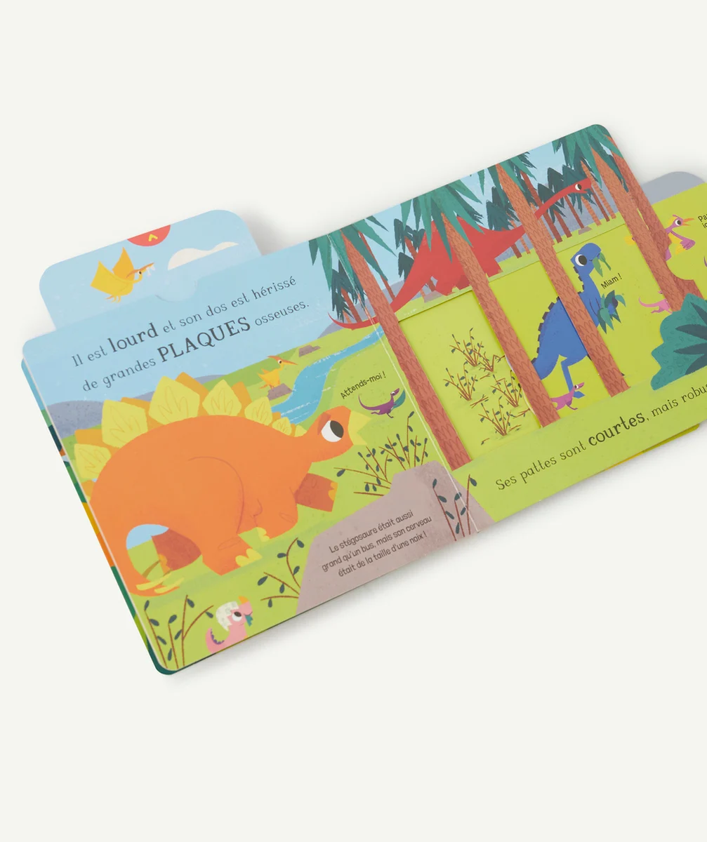 KIMANELE STÉGOSAURE - UN DINOSAURE… ET BIEN PLUS ENCORE !