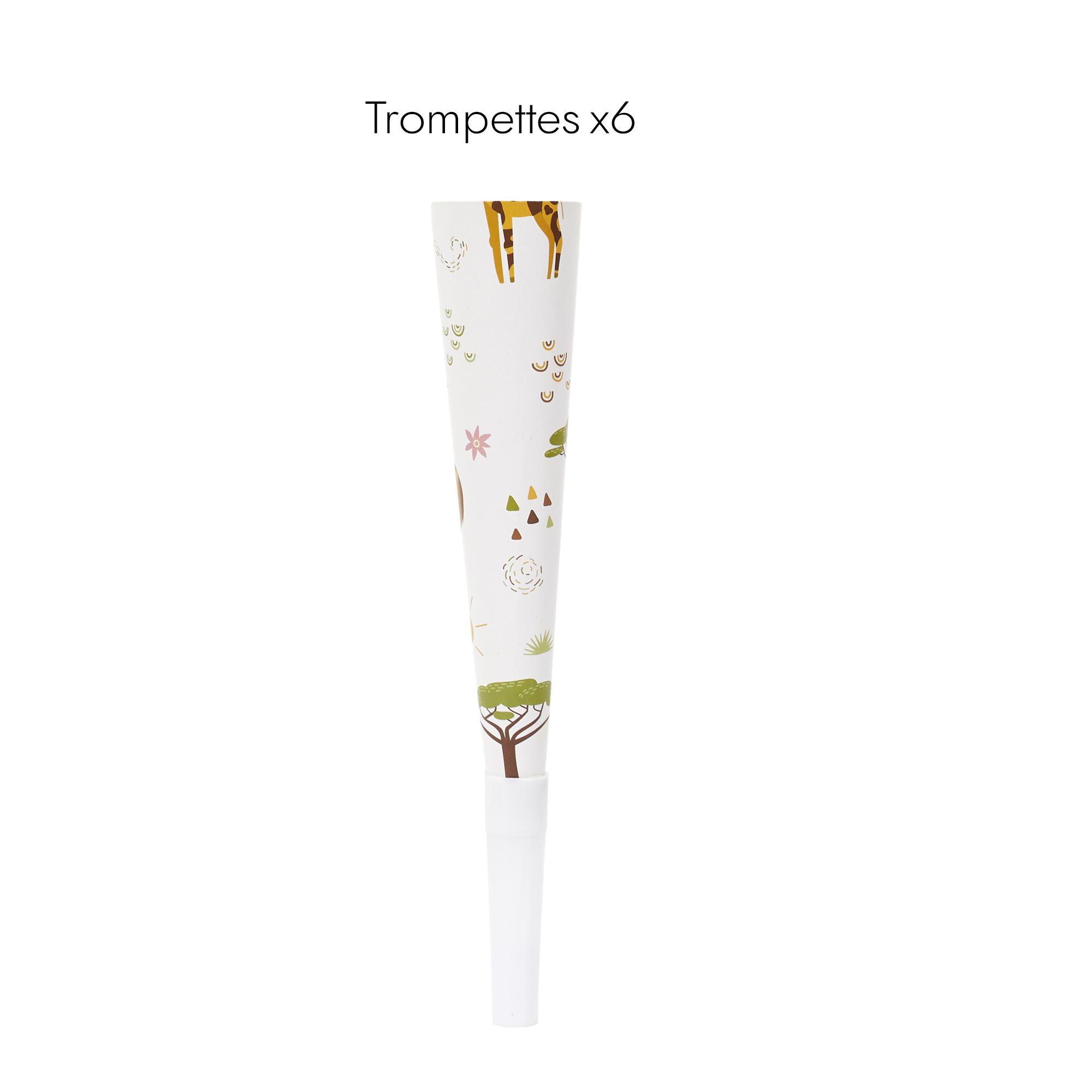 BOITE ANNIVERSAIRE SAVANE 55 PIECES