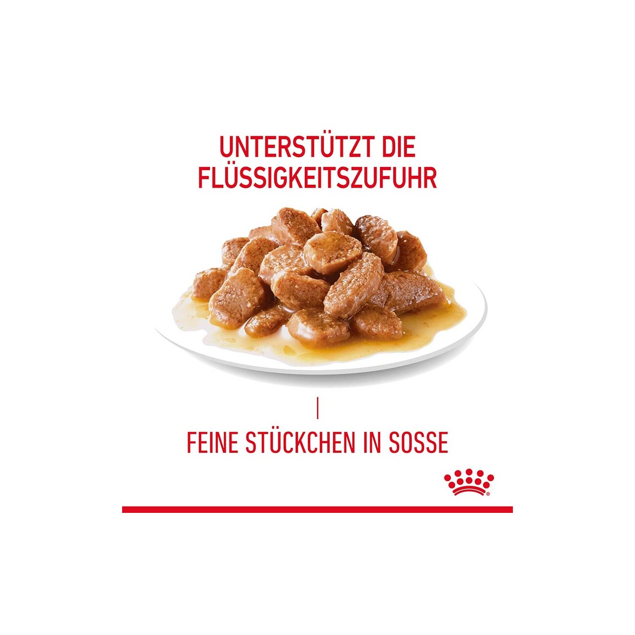 ROYAL CANIN Hair & Skin in Soße 12x85 g