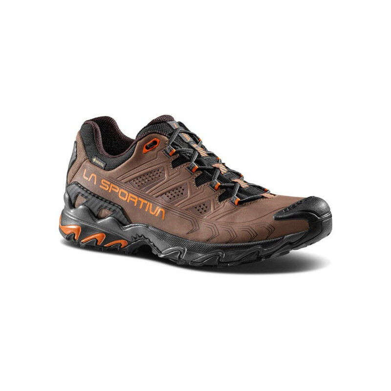 Ultra Raptor II Leather GTX - Chaussures randonnée homme