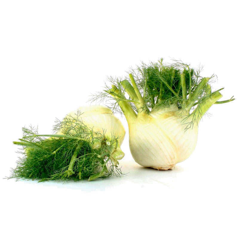 Fenouil bio frais