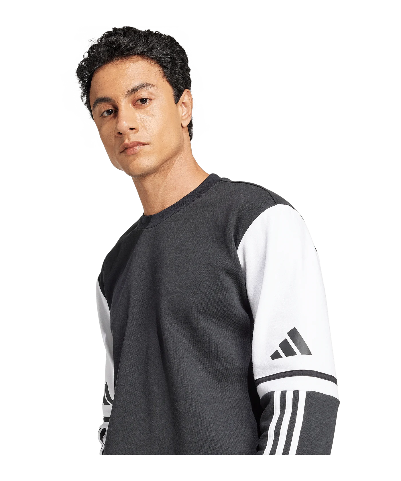 adidas Squadra 25 Sweatshirt Schwarz