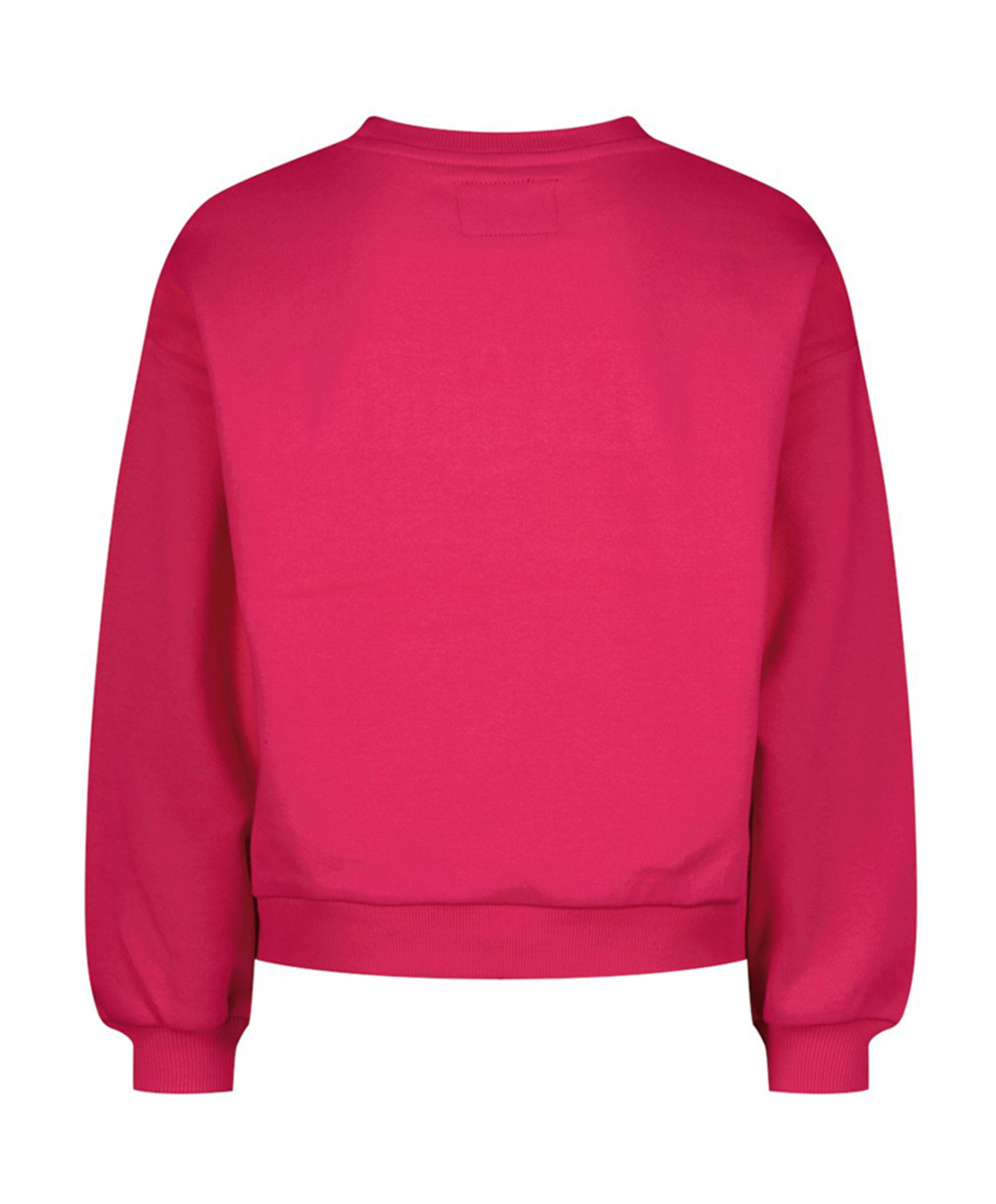 Raizzed Meisjes sweater roze