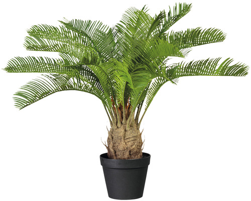 Kunstpalm, Cycaspalm, 60 cm hoog, groen