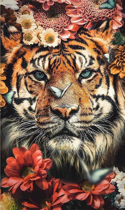 Schilderij Tiger 014