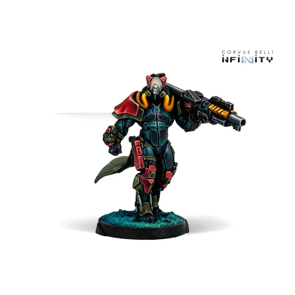 Infinity - Combined Army - Rodoks, Armed Imposition Detachment