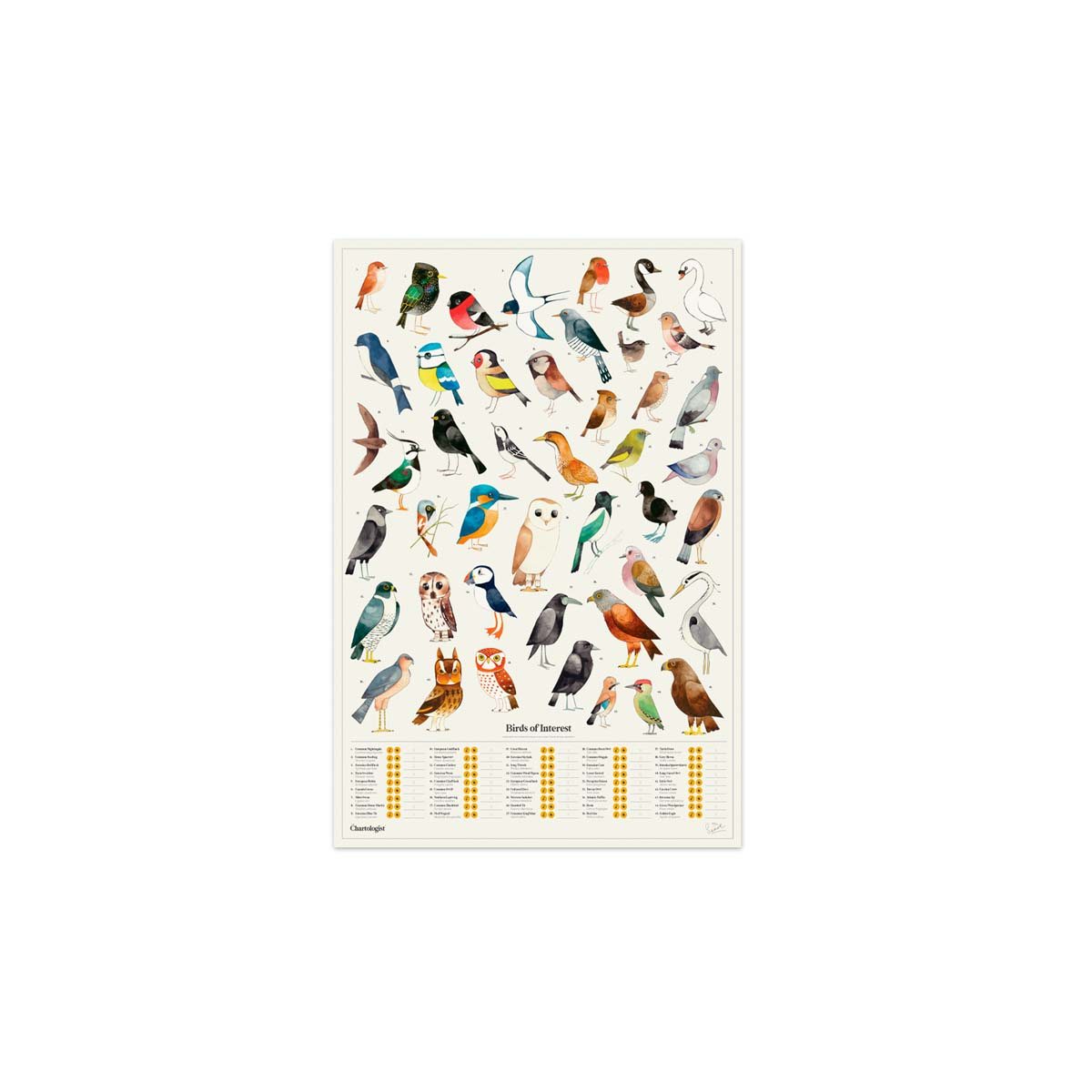 Matt Sewell Birds Chartologist Map