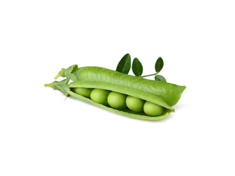 Click & Grow SGR54x3, Spiselig plante, Genopfyldning, Hurtig producent (3-5 uger), 7 - 14 dage, 2 måned(er), 18 - 24 °C