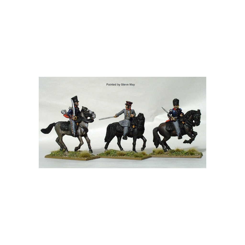 Mounted field officers