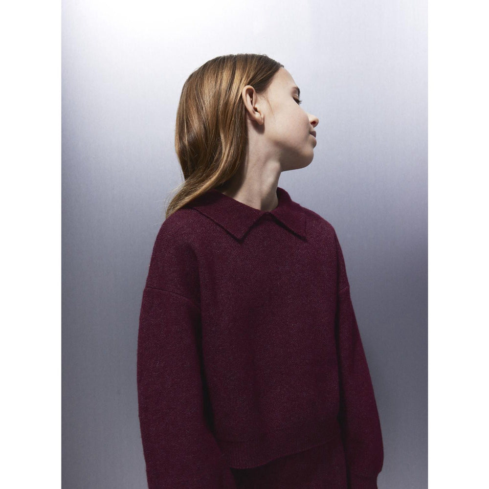 Køb Name It Burgundy Nkfsonia Ls Polo Strik