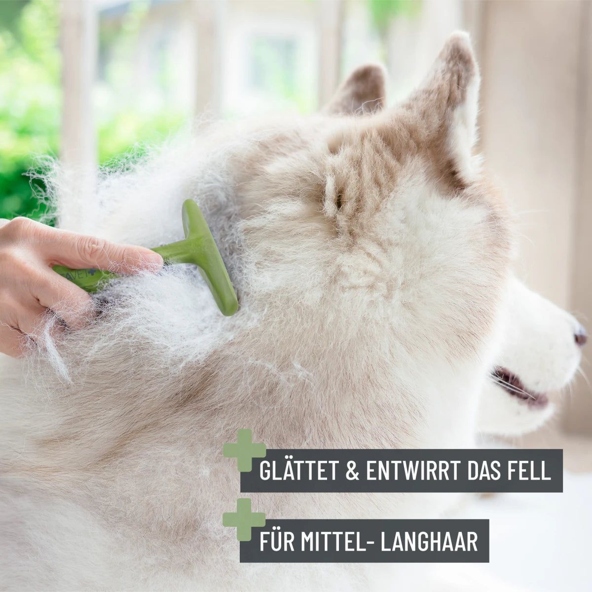 Fellstriegel - ReaVET