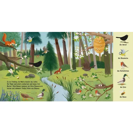 Esslinger Verlag Mein erstes Natur-Wimmelbuch: Tiere im Wald