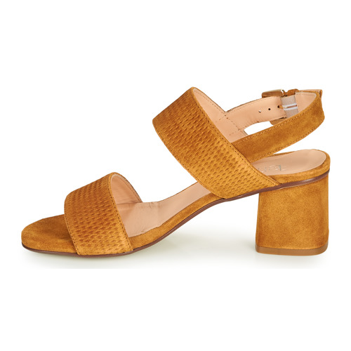 Fericelli - MARRAK - Camel