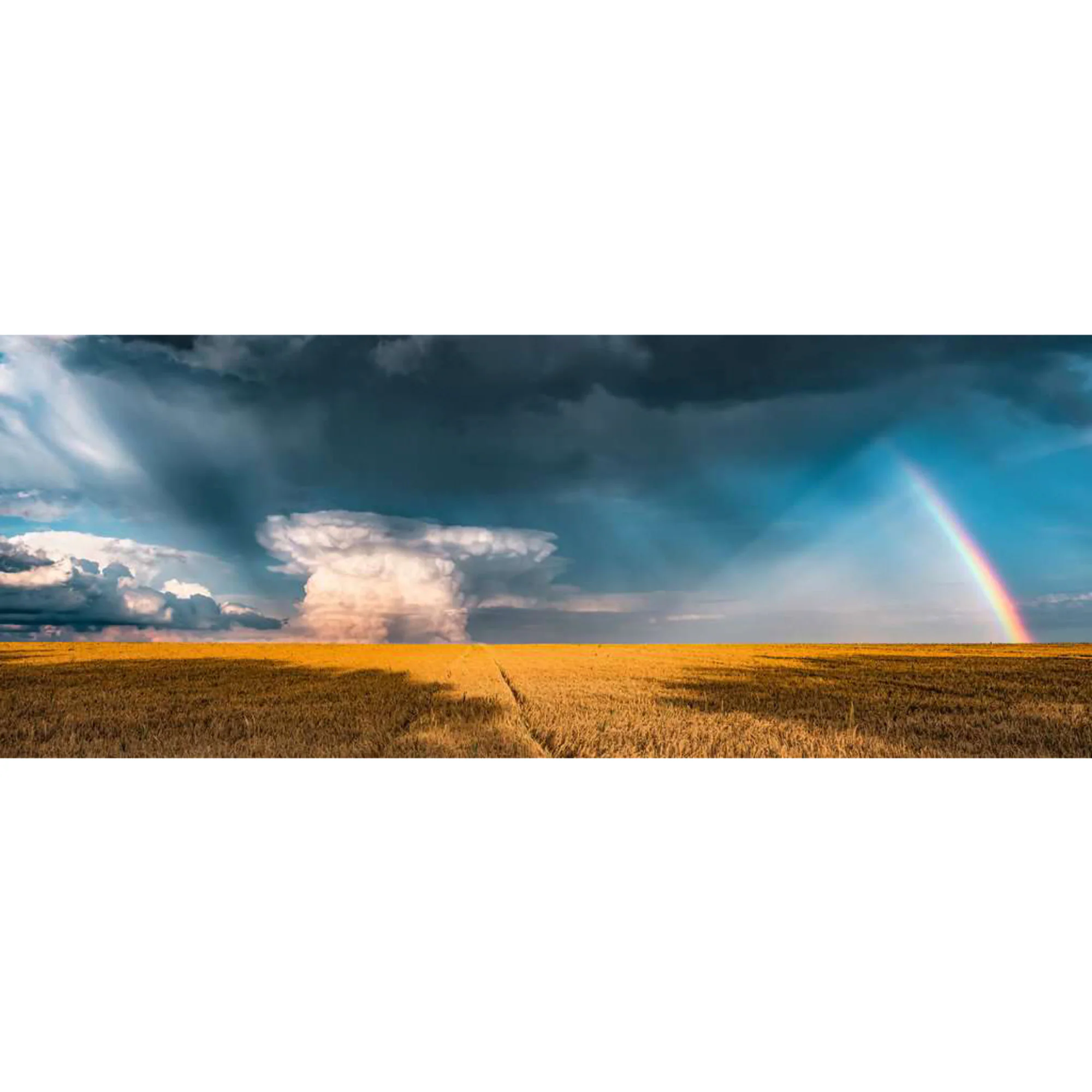 Ravensburger Puzzle Puzzle Nature Edition Mystisches Regenbogenwetter
