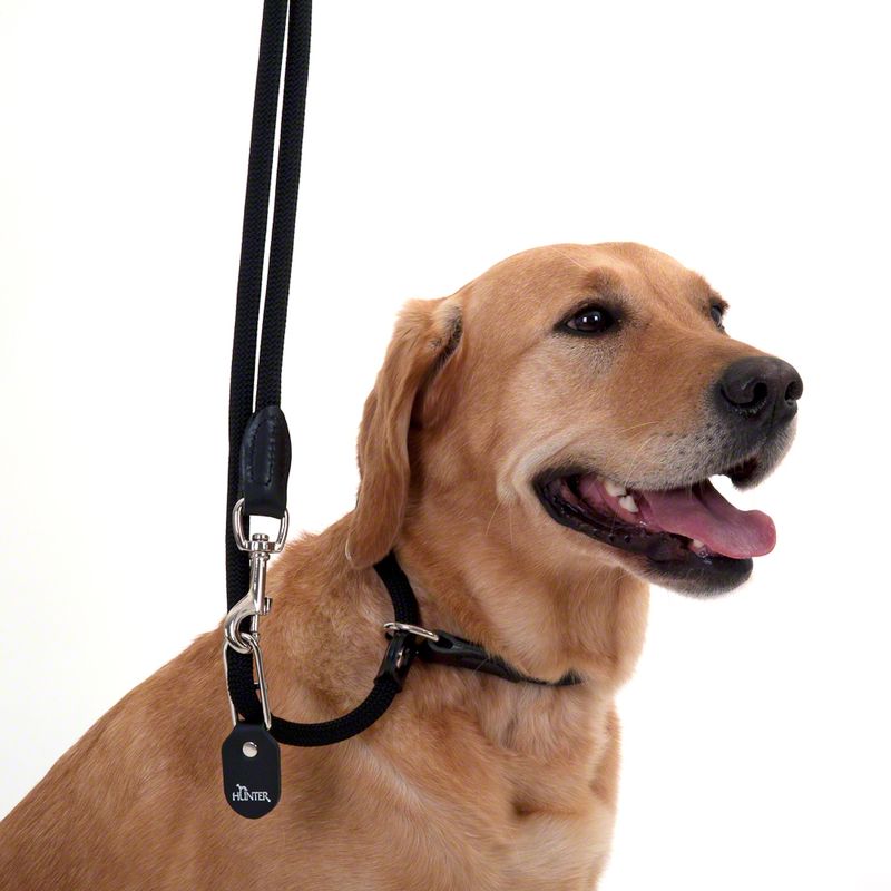 Laisse Hunter Retriever Freestyle