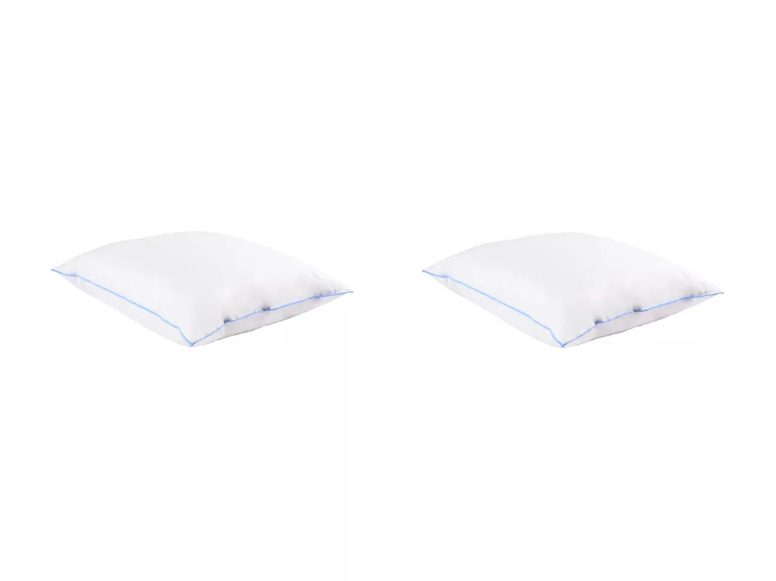 Lot de 2 oreillers moelleux duvet de canard anti-allergènes Someo 60x60