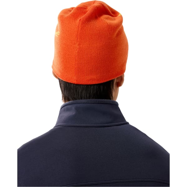 Bonnet Bandeau ski de randonnée ARC'TERYX BIRD HEAD TOQUE SOLARIS / EDZIZA