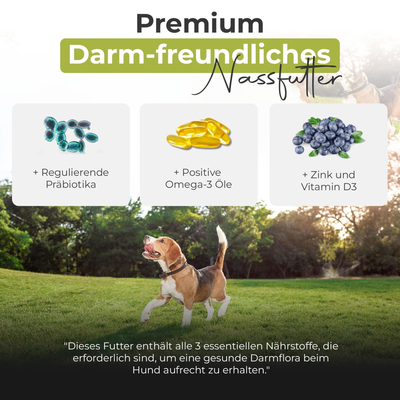 Balloony.pet German Shephy Nassfutter Sensitive Lamm 200 g