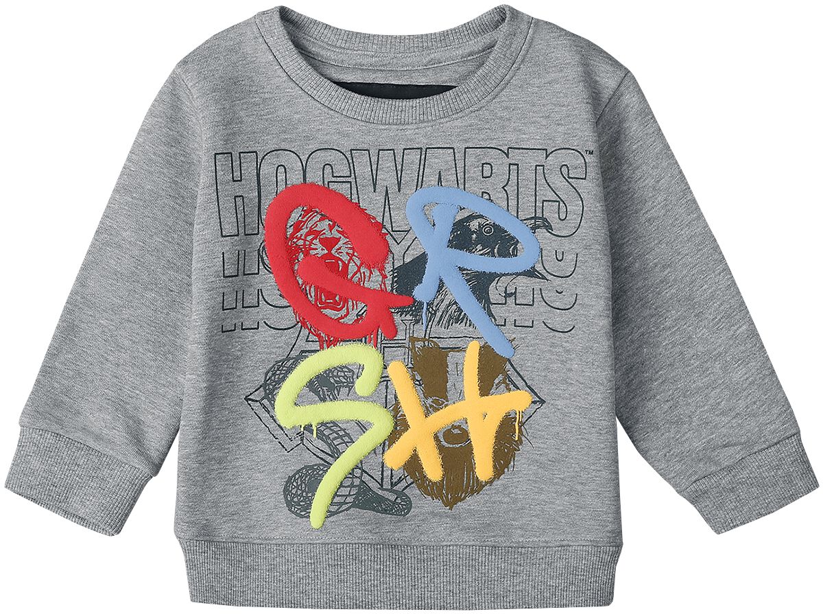 Maisons | Harry Potter Sweat-Shirt
