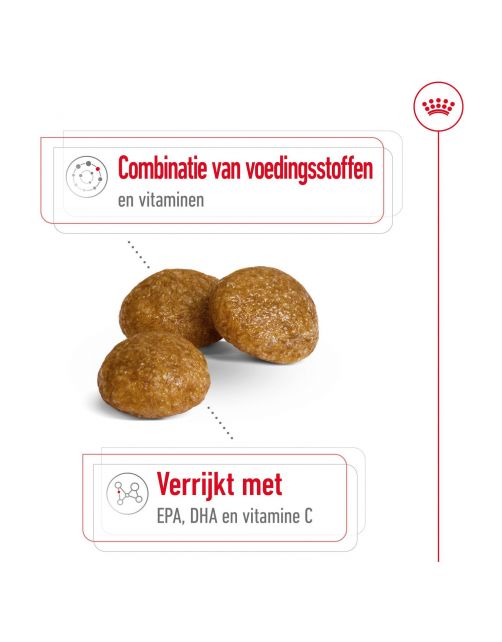Royal Canin X-Small Adult 8+ - Hondenvoer