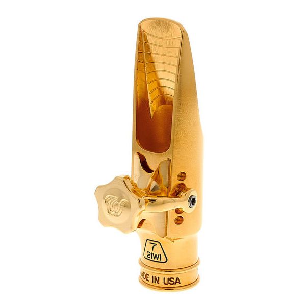 Theo Wanne Gaia IV Alto 7 Metal
