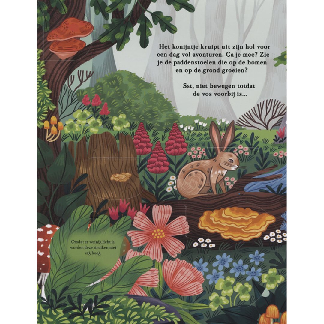 Veltman uitgevers flapjesboek in het bos