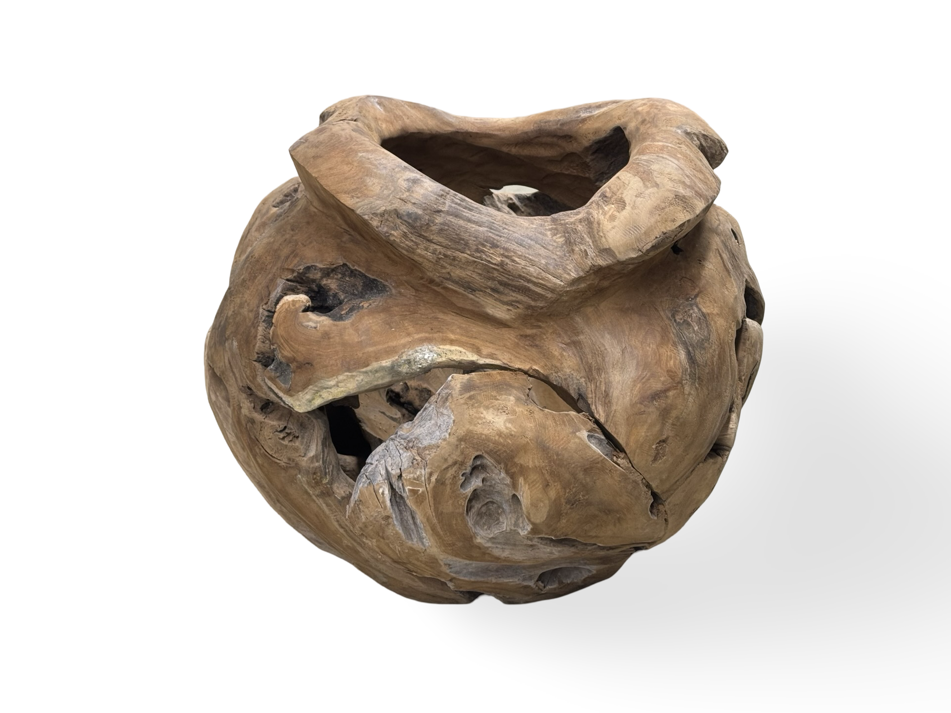 Planter unieke groot