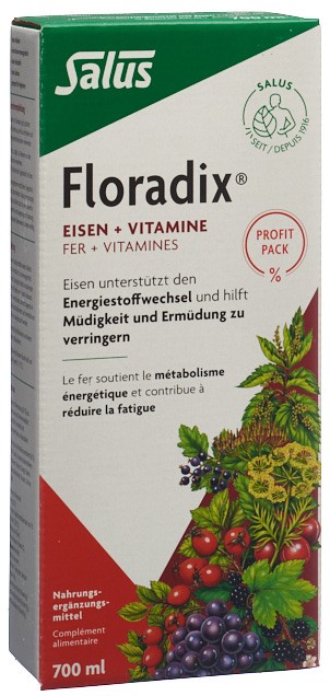 Floradix Eisen   Vitamine Profit Pack Fl 700 ml
