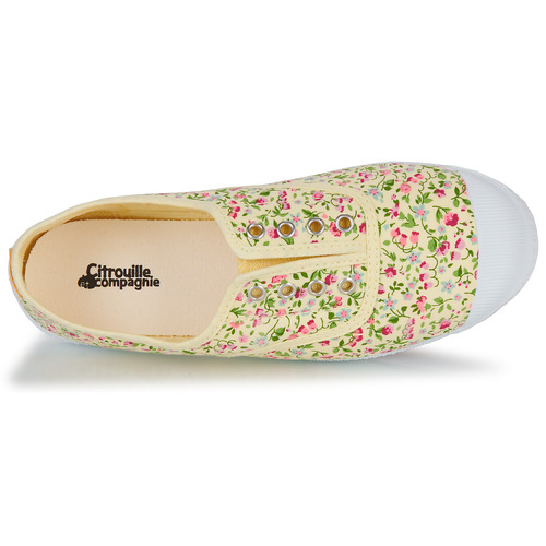 Citrouille et Compagnie - WOODEN Multicolor / Flores