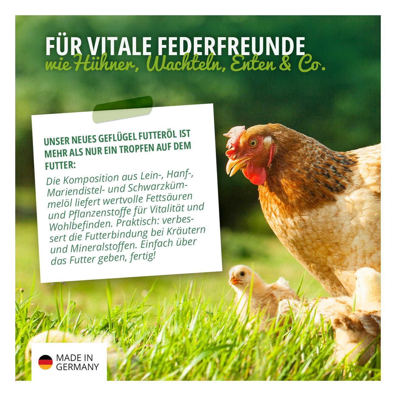 HÜHNER Land Geflügel Futteröl 500ml