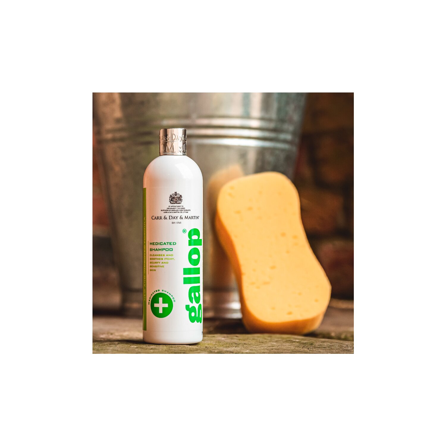 Carr & Day & Martin Medizinisches Shampoo Gallop  - 500 ml