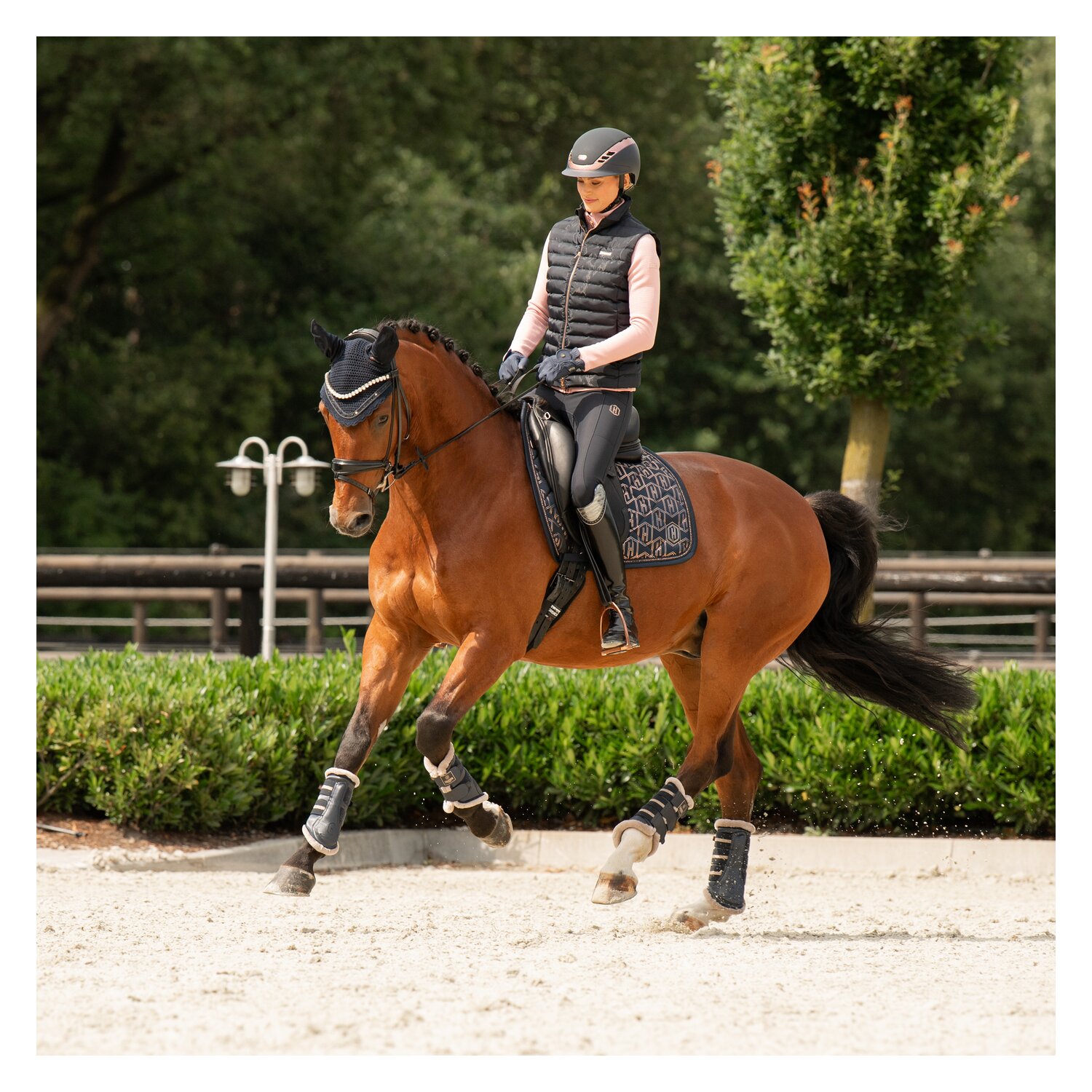 ESKADRON Heritage Schabracke Glossy  - navy